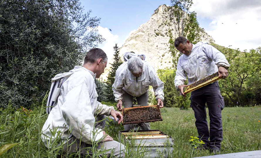 Trois hommes sont autour d’une ruche dans un champ