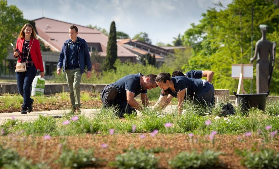 Trois collaborateurs MAIF en charge des espaces verts aménagent le jardin terrasse du siège à Niort