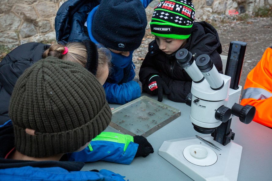 des écoliers de breil-sur-roya observent des invertébrés à la loupe binoculaire
