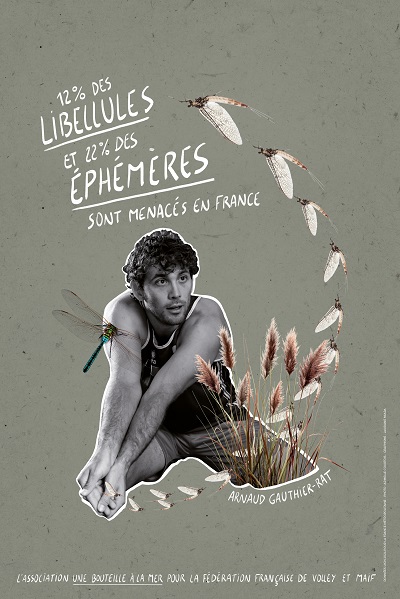 Message associé à la photo d'Arnaud : 12% des libellules et 22% des éphémères sont menacés en France.