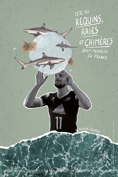 Message associé à la photo d'Antoine : 13% des requins, raies et chimères sont menacés en France.