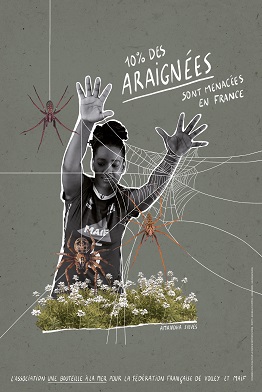 Message associé à la photo d'Amandha : 10% des araignées sont menacées en France.