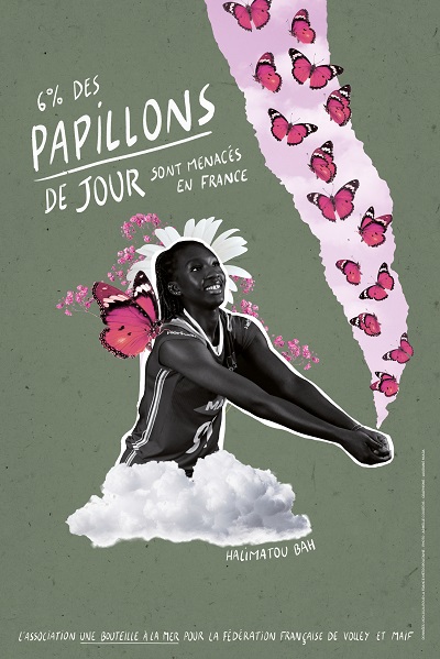 Message associé à la photo d'Halimatou : 6% des papillons de jour sont menacés en France.