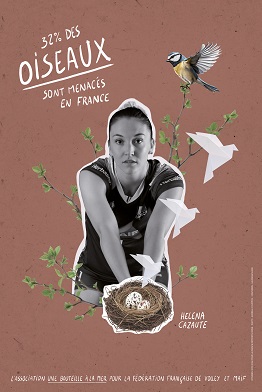 Message associé à la photo d'Helena : 32% des oiseaux sont menacés en France.
