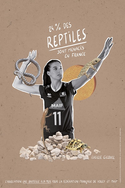 Message associé à la photo de Lucille : 24% des reptiles sont menacés en France.