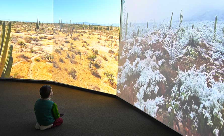 Un enfant à genoux devant d'immenses photographies de déserts