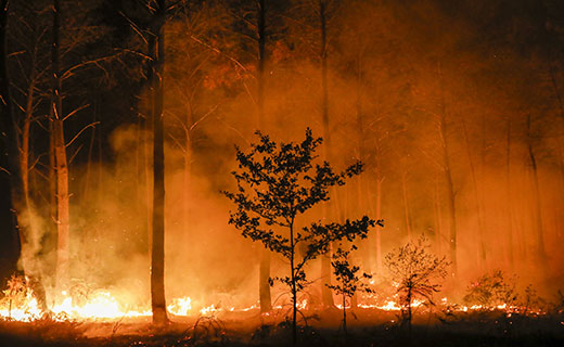 feu au Porge (33)