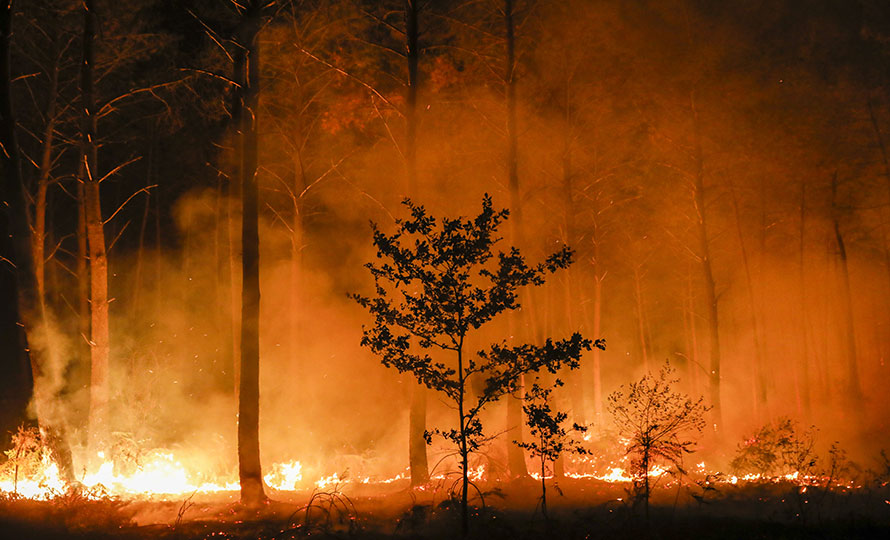 incendie de Porge