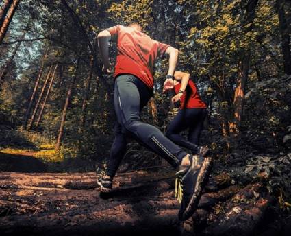 Sportifs courant dns les bois - photos de Dudarev Mikhail / Shutterstock